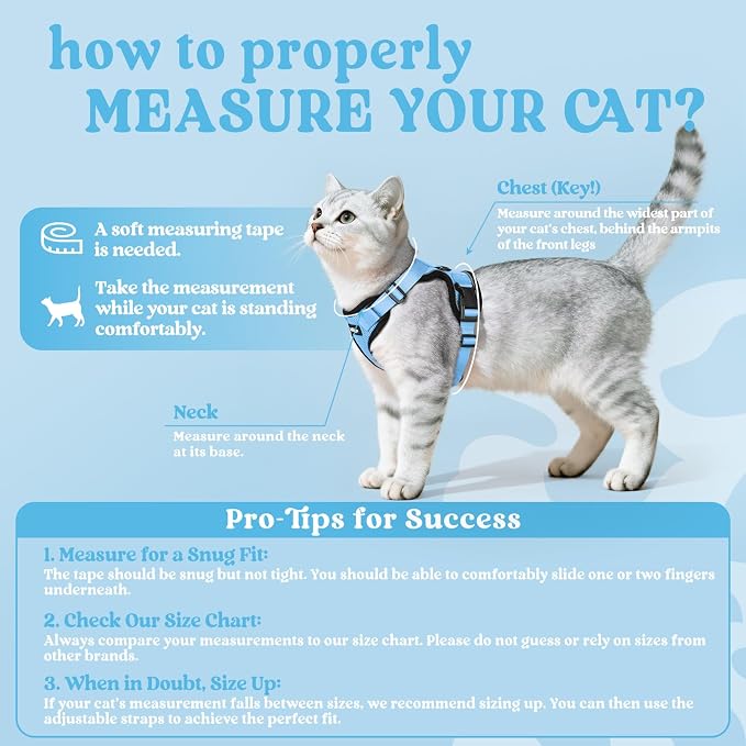 rabbitgoo Cat Harness and Leash Set, Escape Proof Vest, Light Blue | Soft Breathable Mesh, Easy Adjustable Fit, Snap Buckles, Sturdy Clip, Reflective Strips, for Kittens & Small Cats Walks, Xxs