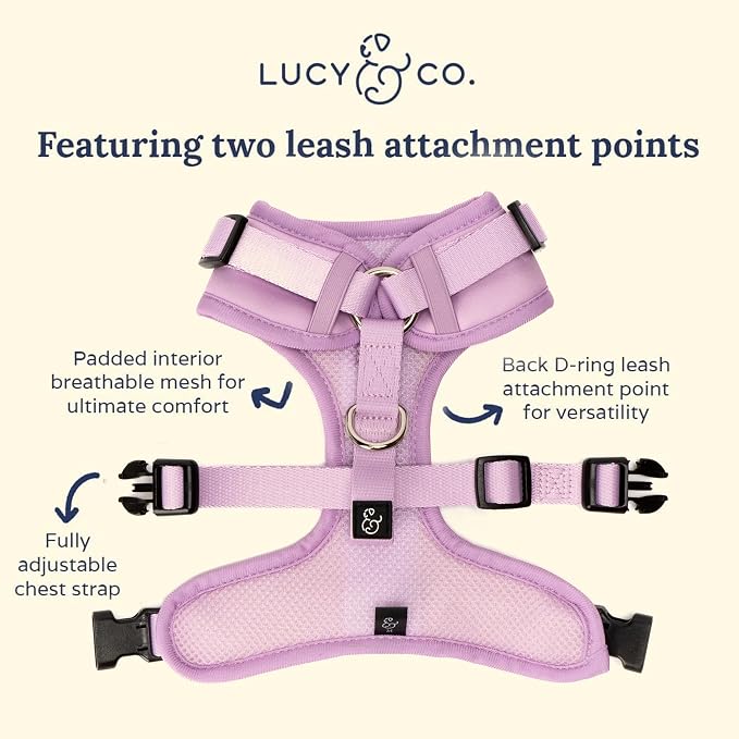 Lucy & Co. No-Pull Dog Harness - Water-Resistant Neoprene, Front & Back Leash Attachments, Padded Mesh Interior, Adjustable Neck & Chest Straps for Everyday Adventures - Bouquet - XL