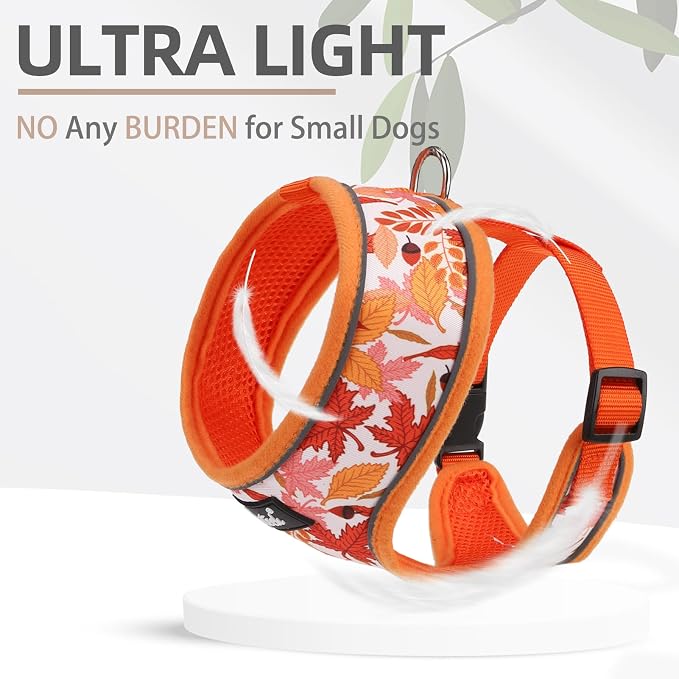 PUPTECK Soft Mesh Dog Harness and Leash Set Pet Puppy Cat Comfort Padded Vest No Pull Harnesses, Orange Leaf, M