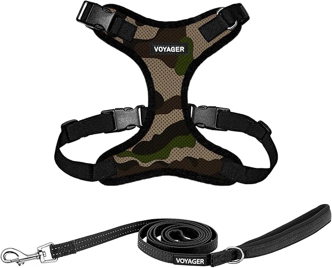 Best Pet Supplies Voyager Step-in Lock Pet Harness w Reflective Pet Leash Combo Set with Neoprene Handle 5ft - Supports Small, Medium and Large Breed Puppies/Cats - Army/Black Trim, XS