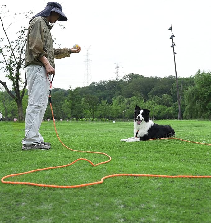 Taglory Long Dog Leash, 15FT 30FT 50FT 66FT, Training and Recall Leash with Comfortable Padded Handle for Large Medium Small Dogs Walking, Camping, Orange 30FT
