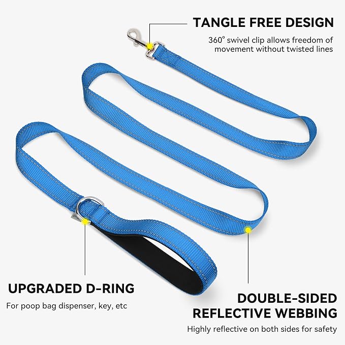 Joytale Reflective Dog Leash for Small Dogs, 5 FT x 3/4", Sky Blue | Heavy Duty Nylon Webbing, Padded Handle for Comfort, Visible at Night, for Walking & Training