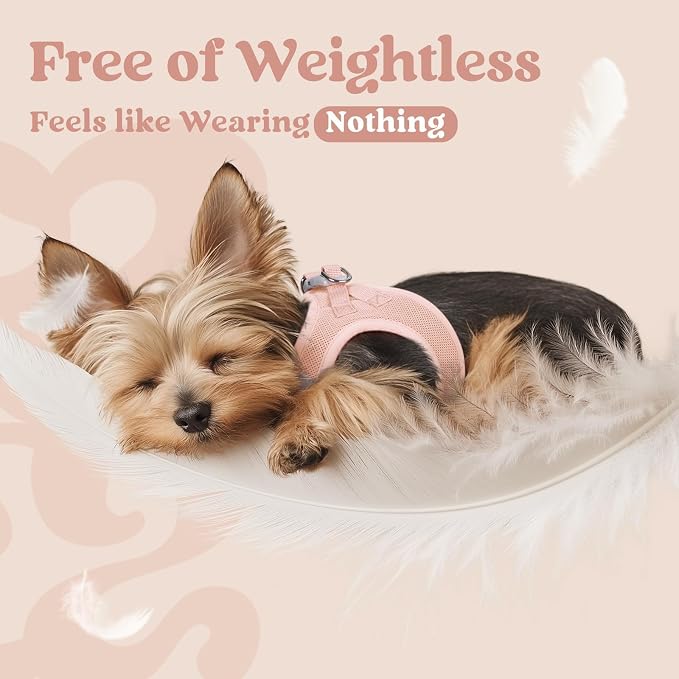 rabbitgoo Step-in Small Dog Harness, Puppy Vest for Small Sized Pet | Easy Put on and off, Lightweight, Soft, Breathable Quick-Dry Air Mesh for Comfortable Secure Walking, Pink S