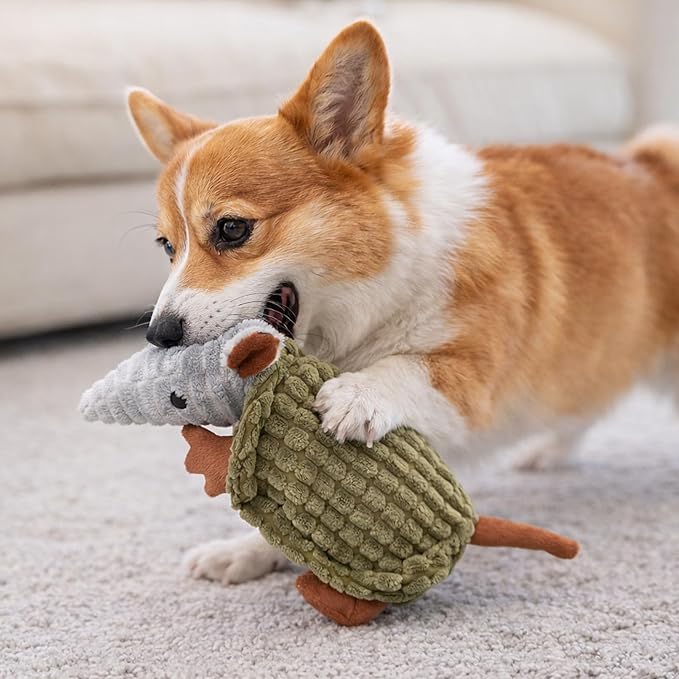 Hollypet Armadillo Squeaky Puppy Dog Toys for Small Medium Dogs, 8" | plush stuffed small dog squeak animal toy with unique grunt squeaker textured fabric for teeth cleaning toys