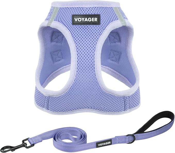 Best Pet Supplies Voyager Step-in Air All Weather Mesh Harness and Reflective Dog 5ft Leash Combo with Neoprene Handle, for Small, Medium and Large Breed Puppies - Lavender, XXS