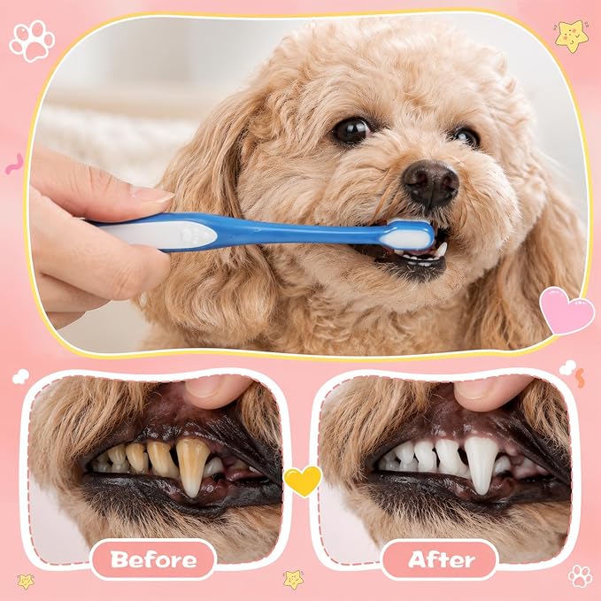 3 PCS Small Dog Toothbrush, Soft Puppy Toothbrush Deep Cleaning Mini Head Tooth Brush with Clear Case for Puppy Kitten Tiny Pets, Pink & Yellow & Blue
