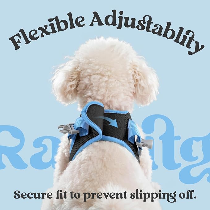 rabbitgoo Dog Harness Small Sized and Leash Set, Step in Soft Vest | Breathable Mesh, Easy Wear with Hook & Loop, Light and Reflective for Walking, Multi-colored, Black & Blue, M