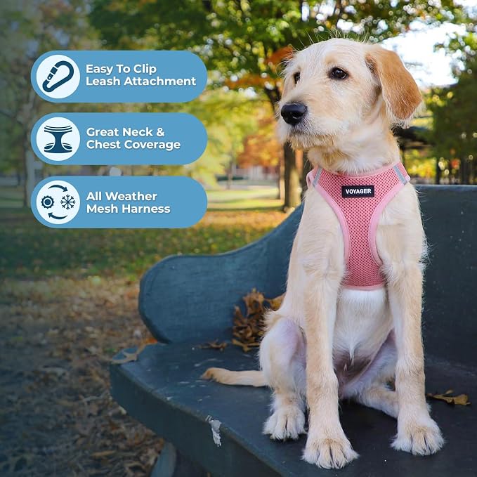 Best Pet Supplies Voyager Step-in Air All Weather Mesh Harness and Reflective Dog 5ft Leash Combo with Neoprene Handle, for Small, Medium and Large Breed Puppies - Pink, XXX-Small