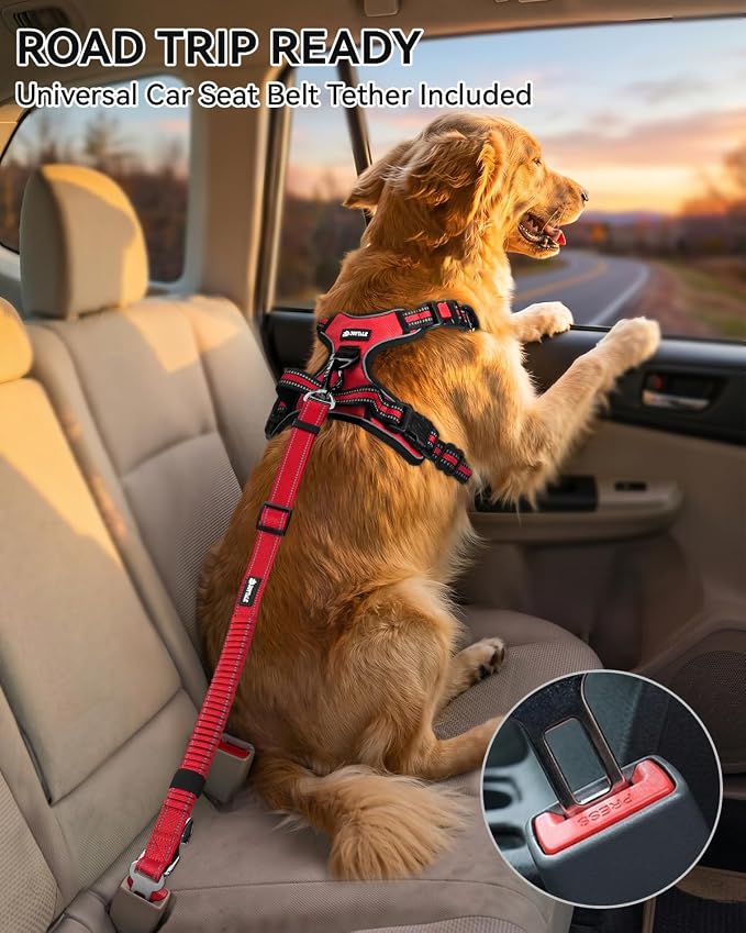Joytale No Pull Dog Harness & Seat Belt, Easy On 3-Buckle, L, Red | Front Clip Reduces Pulling, Escape-Resistant Design, Adjustable Fit, Soft Padding for Comfort, Secure Tether for Safer Travel