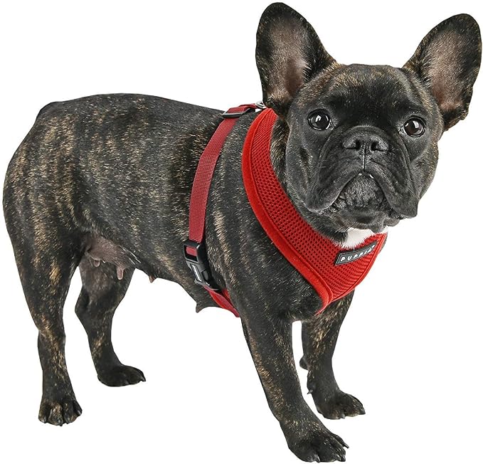 Puppia Soft Dog Harness, Wine, Medium (PDCF-AC30-WN-M)