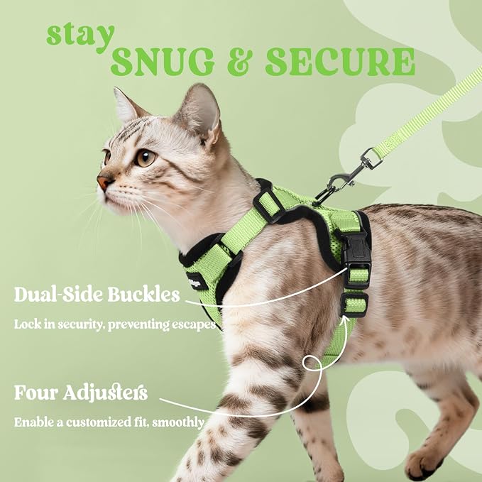 rabbitgoo Cat Harness and Leash Set, Escape Proof Vest, Light Green | Soft Breathable Mesh, Easy Adjustable Fit, Snap Buckles, Sturdy Clip, Reflective Strips, for Small & Average Cats Walks, Xs