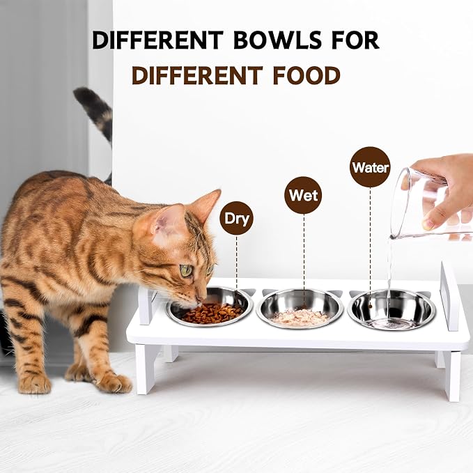 Bamboo Elevated Cat Bowls, 3 Stainless Steel Raised Cat Bowl with Stand, 15°Tilted Cat Feeding Station, Cat Food and Water Bowl Set for Small Cats, Anti Vomitting, Whisker Fatigue (Natural) (White)
