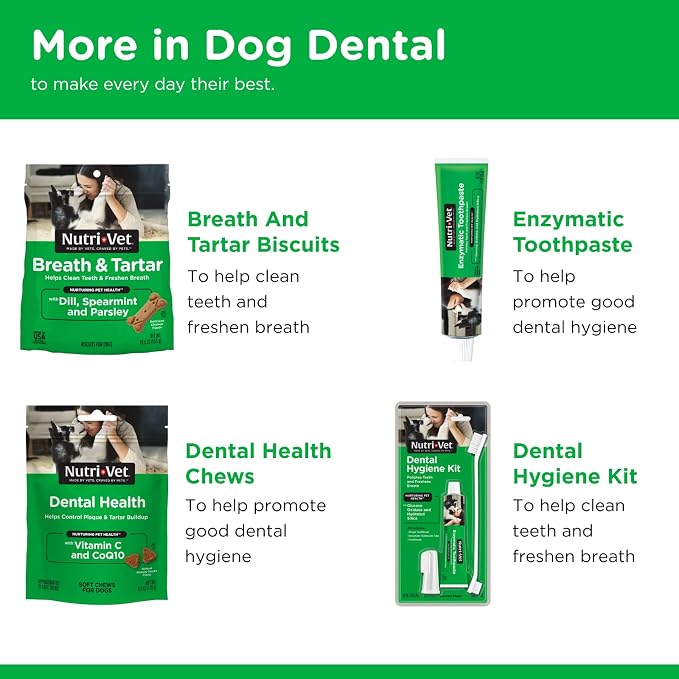 Nutri-Vet Enzymatic Dog Toothpaste, Plaque Remover for Teeth, Dog Breath Freshener, Tooth Whitening, Puppy Essentials, Made in The USA, Non-Foaming Chicken Flavor, 2.5 oz (Pack of 2)