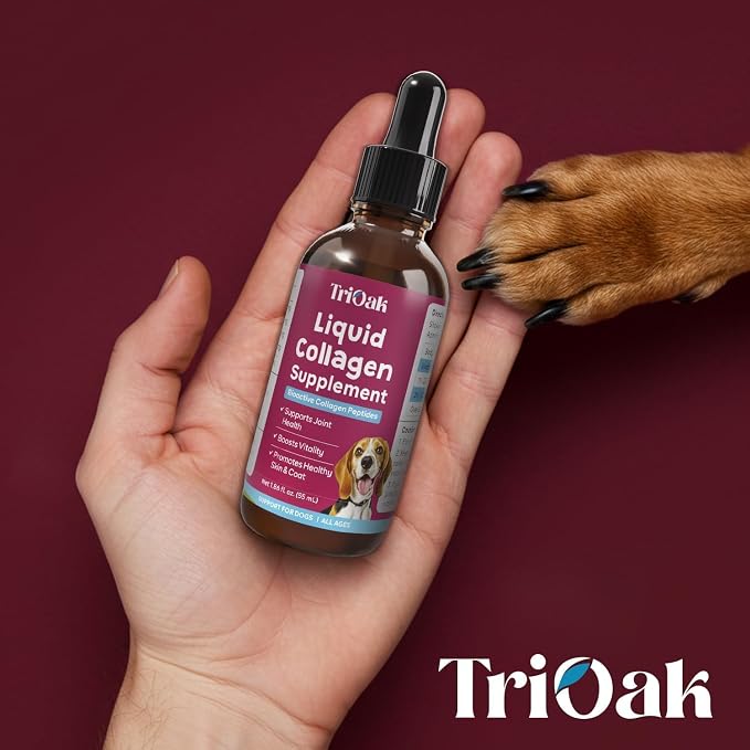 Hydrolyzed Liquid Collagen Drops for Dogs: Grass-Fed Bioactive Collagen Peptides - 4-in-1 Hip & Joint Supplement, Skin & Coat, Itch Relief & Mobility Support - for Dogs Ages