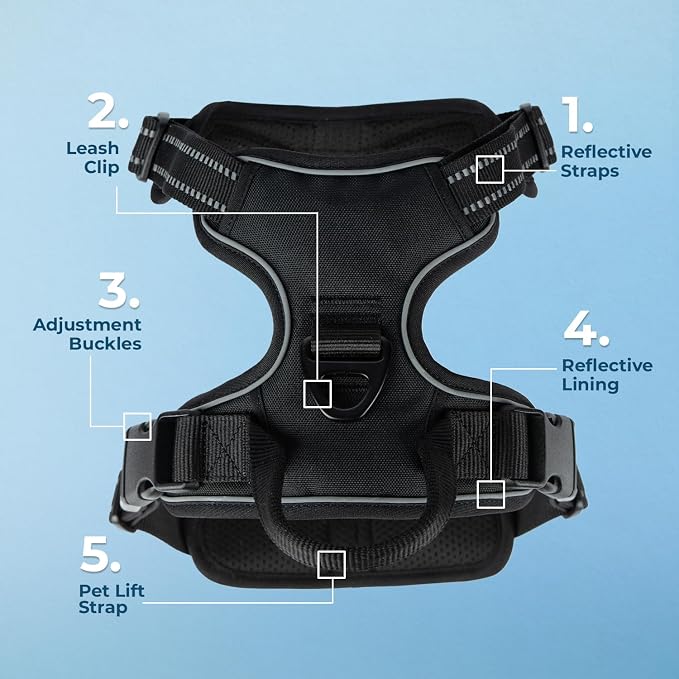 Voyager Dog Harness Dual Leash Attachment No-Pull Control Adjustable Soft but Strong Pet Harness for Medium and Large Dogs with 3M Reflective Technology, Leash Set Black Nylon, XS (Chest: 13-16")