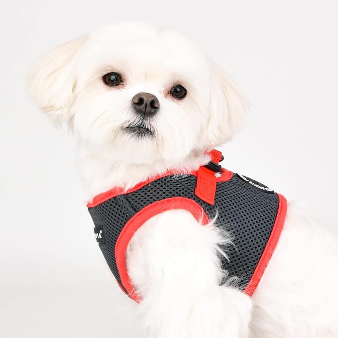 Puppia Soft Vest Dog Harness II Mesh Step-in All Season No Pull No Choke Walking Training for Small & Medium Dog - Grey - S