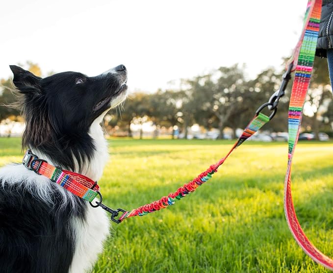 Leash Boss Pattern Bungee Dog Leash Extension, 18" Shock Absorbing Lead Extender, Pattern Collection - Large Dog Leash Attachment and Shock Absorber (Blanket Pattern)
