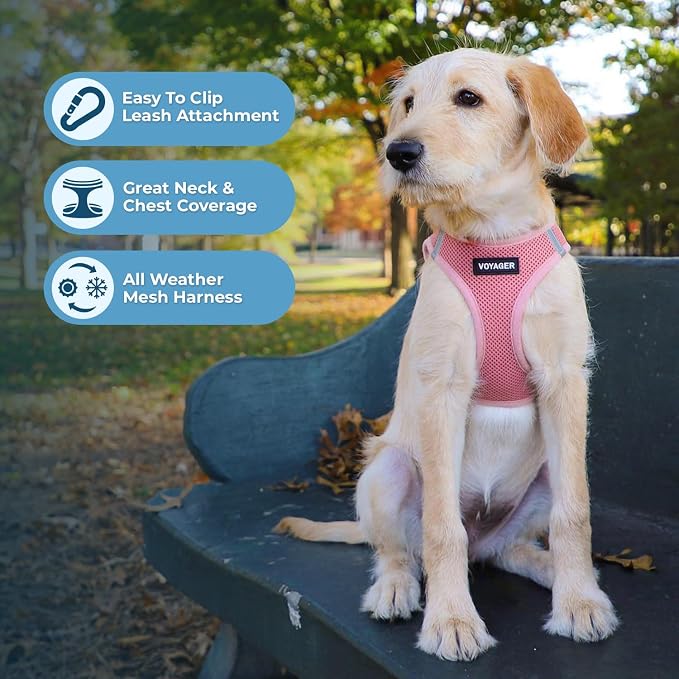 Voyager Step-in Air Dog Vest Harness - Pink, X-Large | 20.5 - 23" in Chest, Reflective Bands, All Weather Breathable Air Mesh, Cats Compatible, Lightweight, Fast Drying