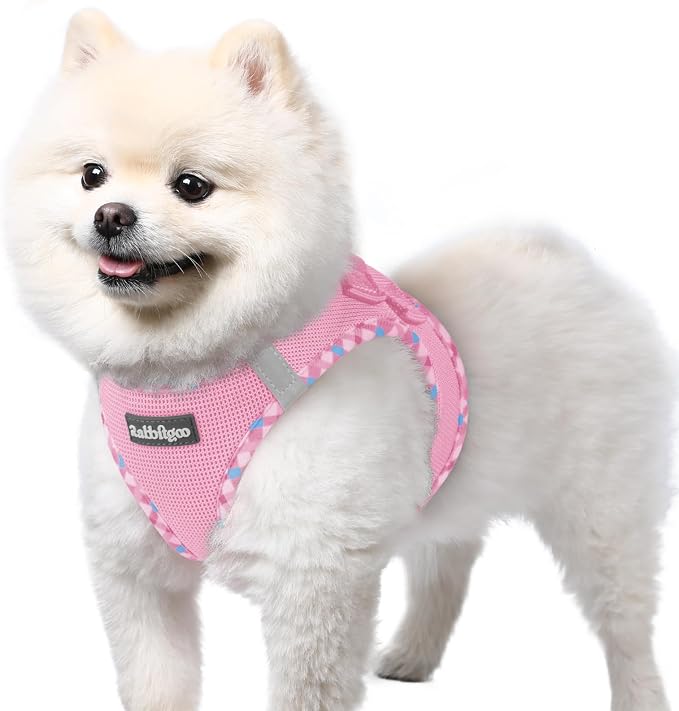 rabbitgoo Step-in Small Dog Harness, Puppy Vest for Small Sized Pet | Easy Put on and off, Lightweight, Soft, Breathable Quick-Dry Air Mesh for Comfortable Secure Walking, Pink & Plaid Trim S