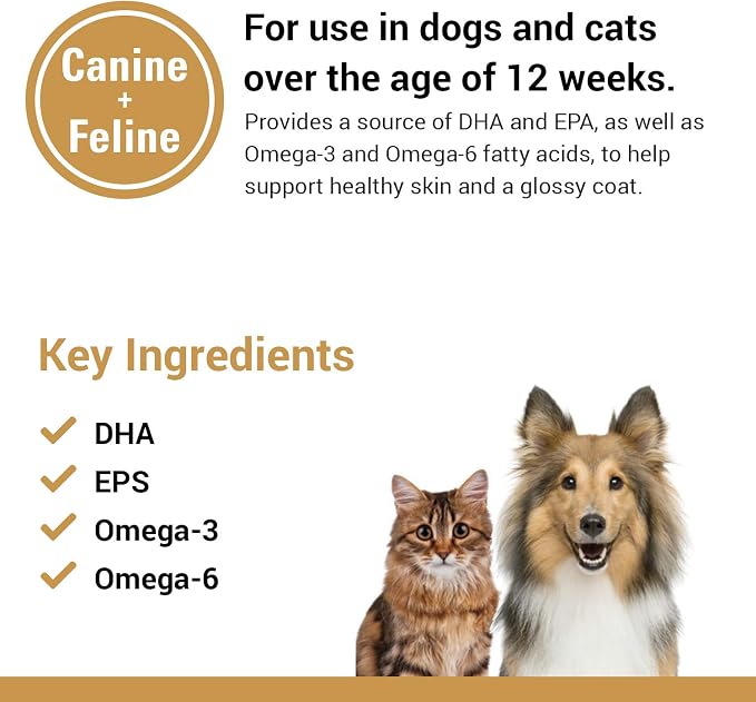 Vet Classics Salmon Oil Supplement for Dog & Cat Healthy Skin - 90 Ct