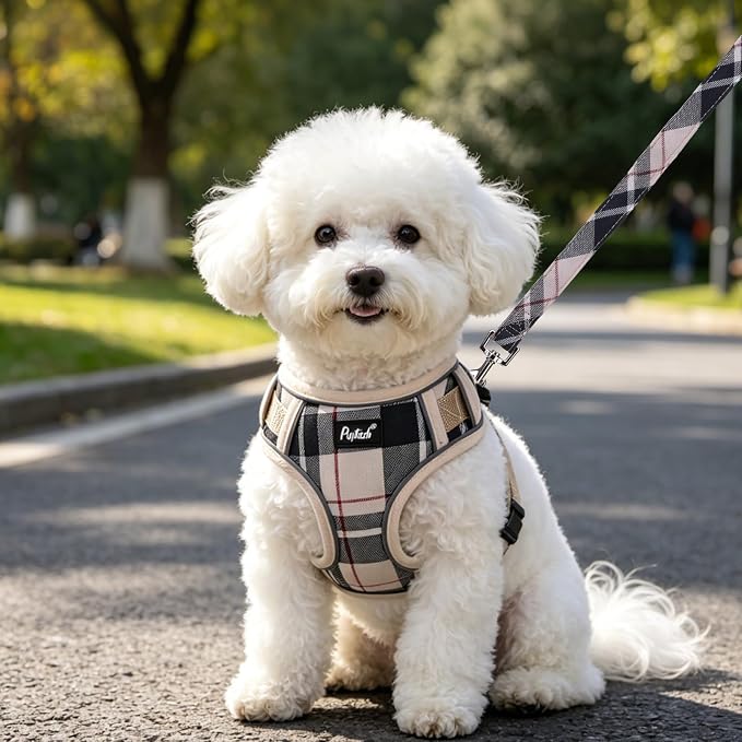 PUPTECK Dog Harness and Leash Set, No Pull Adjustable Pet Small Dog Harness, Reflective Soft Mesh Pet Vest, for Small Medium Dogs Walking, Beige, M