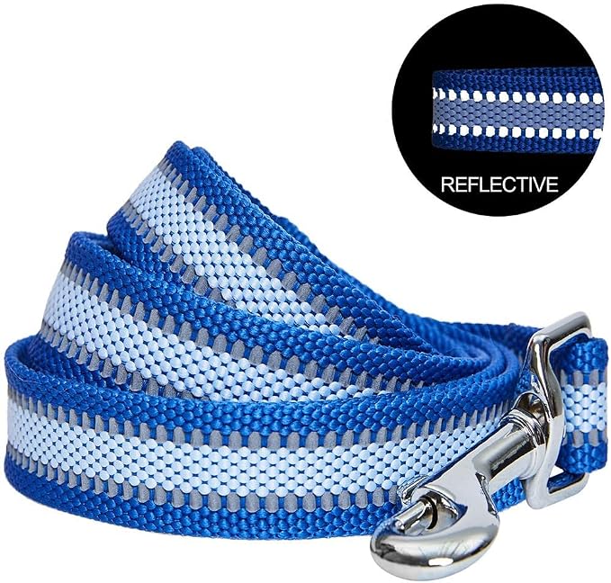 Blueberry Pet Essentials Reflective Dog Leash, Puppy Essentials, Gentle Leader for Dogs, Navy Blue, 5 ft x 5/8 in, Dog Leash for Small Dogs, Durable & Easy Care for Active Pet Owners
