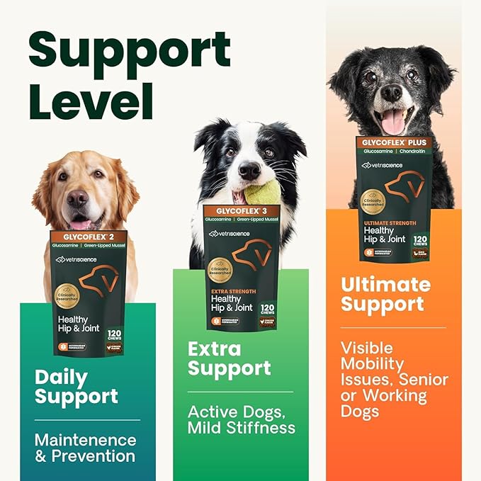 VetriScience Healthy Hip & Joint Chews, GlycoFlex Glucosamine and Green-Lipped Mussel Joint Support Supplement for Dogs, Promote Mobility and Protect Joints, Chicken, 120 Count