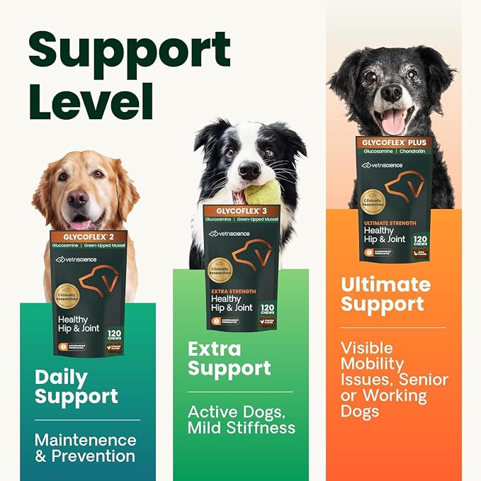 VetriScience Ultimate Strength Healthy Hip & Joint Chews, GlycoFlex Glucosamine, Chondroitin and Green-Lipped Mussel Joint Support Supplement for Dogs, Soothe Discomfort, Peanut Butter, 60 Chews
