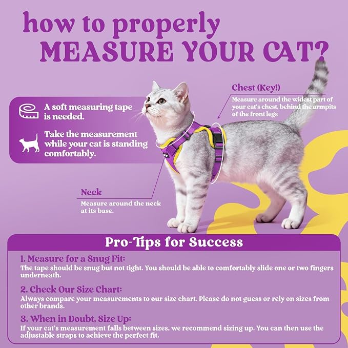 rabbitgoo Cat Harness and Leash Set, Escape Proof Vest, Purple & Yellow | Soft Breathable Mesh, Easy Adjustable Fit, Snap Buckles, Sturdy Clip, Reflective Strips, for Small & Average Cats Walks, Xs