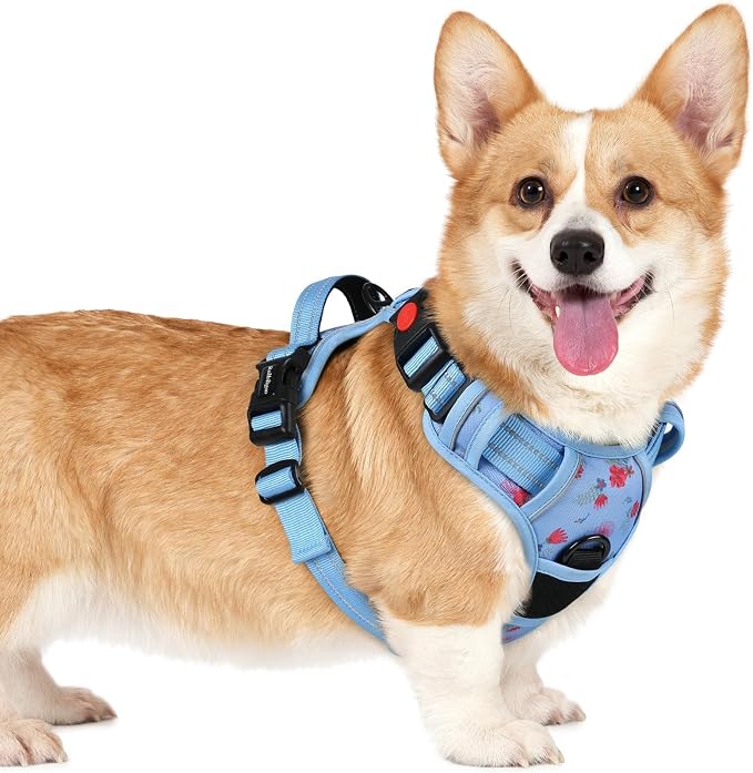 rabbitgoo Dog Harness Small Sized, Updated Easy On & Off with 3 Buckles | No Pull No Choke, Walking with 2 Clips and Handle, Adjustable Soft Reflective, Floral Blue, Small