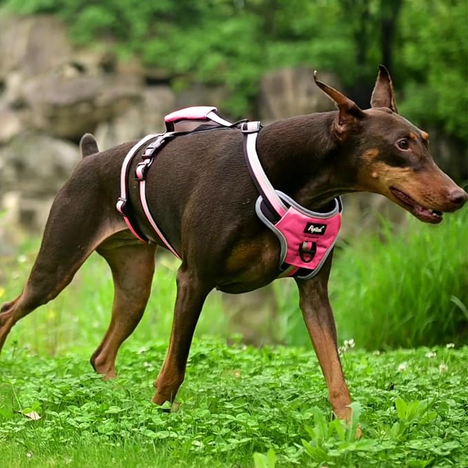 PUPTECK Escape Proof Dog Harness with Padded Handle, No Pull Pet Vest Harness Durable Reflective for Medium Large Dogs Walking Training and Running, Pink, L