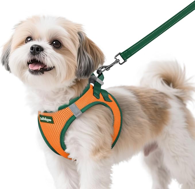 rabbitgoo Dog Harness Small Sized and Leash Set, Step in Soft Vest | Breathable Mesh, Easy Wear with Hook & Loop, Light and Reflective for Walking, Multi-colored, Orange & Dark Green, S