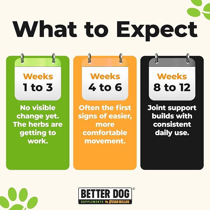Better Dog Forever Active Hip and Joint Supplement Powder for Dogs, 4 oz