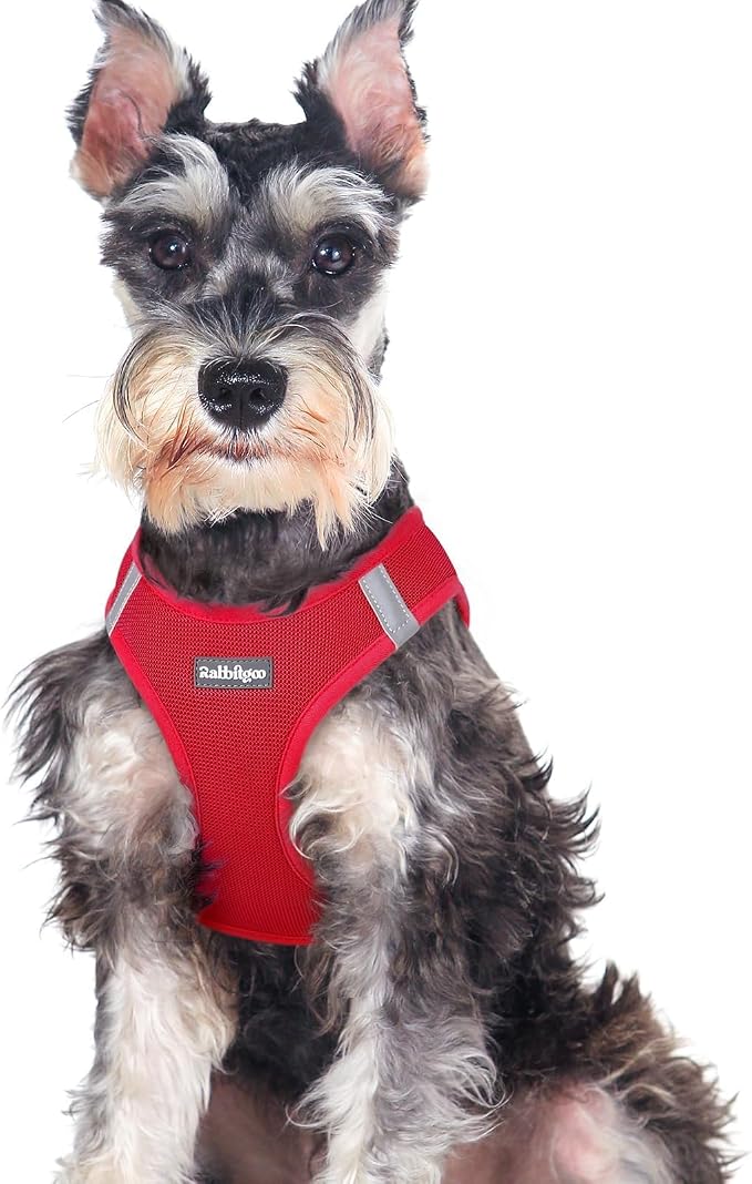 rabbitgoo Step-in Small Dog Harness, Puppy Vest for Medium Sized Pet | Easy Put on and off, Lightweight, Soft, Breathable Quick-Dry Air Mesh for Comfortable Secure Walking, Red XXL