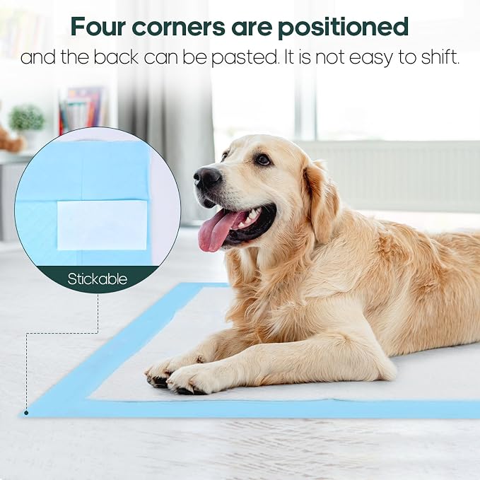 Puppy Pads Extra Large 35x31 Inch 6 Layer Quick Absorb Leakproof for Incontinence 30 Count for Dogs Cats Puppies with Corner Stickers