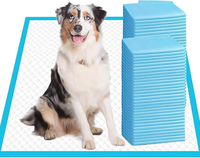 Aurora Pet Ultra-Absorbent Puppy Pee Pads – XL 24x35 Inch, Leak-Proof & Quick-Dry Potty Training Pads (20-Pack), Extra-Large Protection for Puppies & Dogs – Blue & White