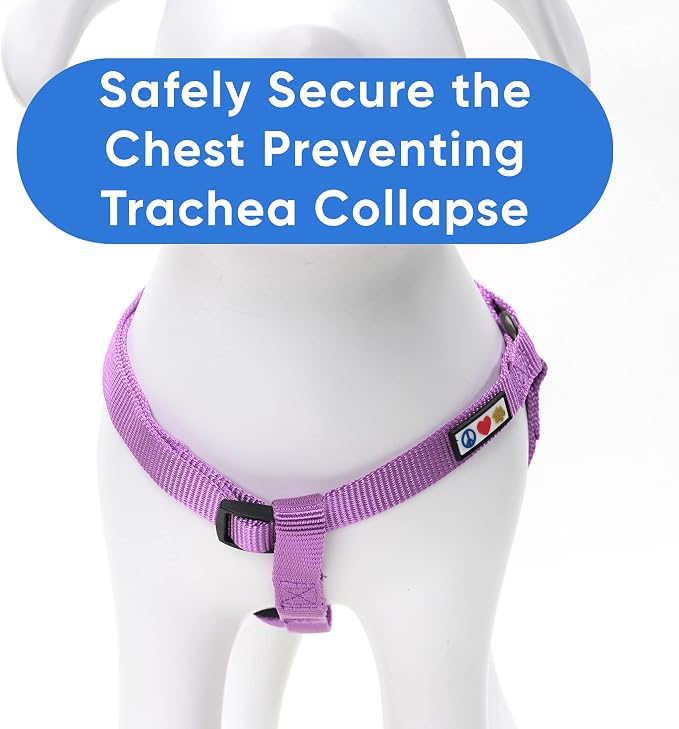 Pawtitas Solid Step-in Dog Harness – Adjustable No-Pull Vest for Puppies to Seniors, Safe & Comfortable S Orchid