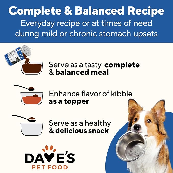 Dave's Pet Food Bland Diet Dog Food, Turkey & Rice, 13.2 oz, 12 pk