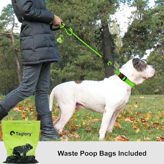 Taglory Rope Dog Leash for Medium Large Dogs, 5 FT Padded Handle, Green | Climbing Rope for Strong Pullers, Reflective for Night Walks and Training, Comfortable Grip, Anti-tangle Swivel Clip 1/2 inch