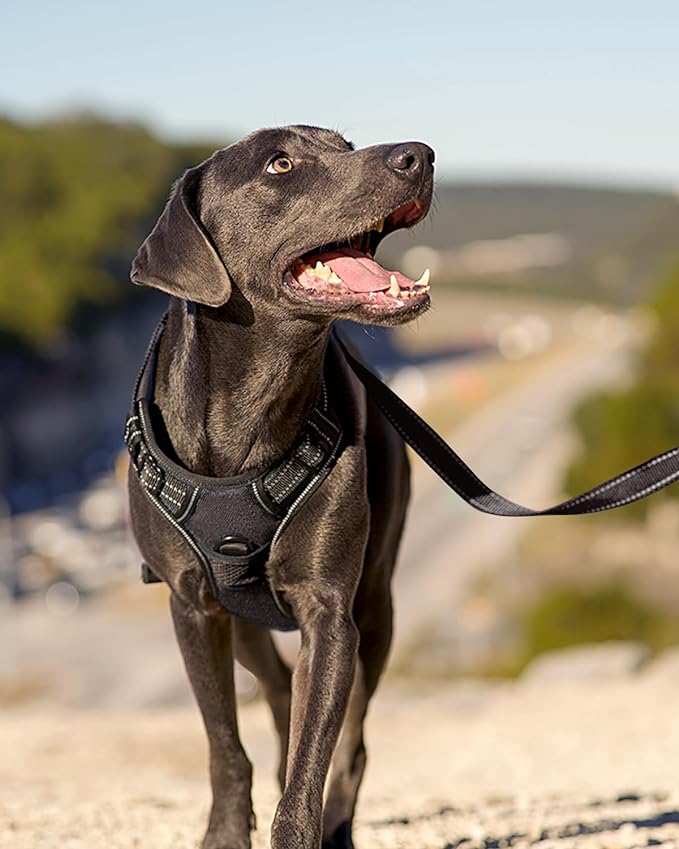 Joytale No Pull Dog Harness for Large Dogs, Front Clip, Black | Grab Handle for Instant Control, Padded & Adjustable Vest, Sturdy Metal D-Rings, for Safe Training & Daily Walking