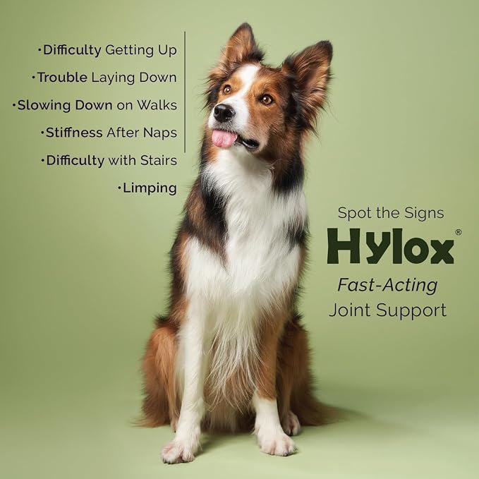 Hylox Soft Chews for Dogs – Joint Support with Glucosamine, MSM, Creatine, Hyaluronic Acid, Turmeric, EPA & DHA – Supports Joints & Cushions Connective Tissues – NASC Certified – 120 Soft Chews