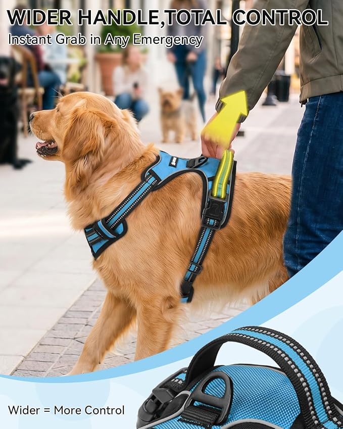 Joytale No Pull Dog Harness & Seat Belt, Easy On 3-Buckle, S, Sky Blue | Front Clip Reduces Pulling, Escape-Resistant Design, Adjustable Fit, Soft Padding for Comfort, Secure Tether for Safer Travel