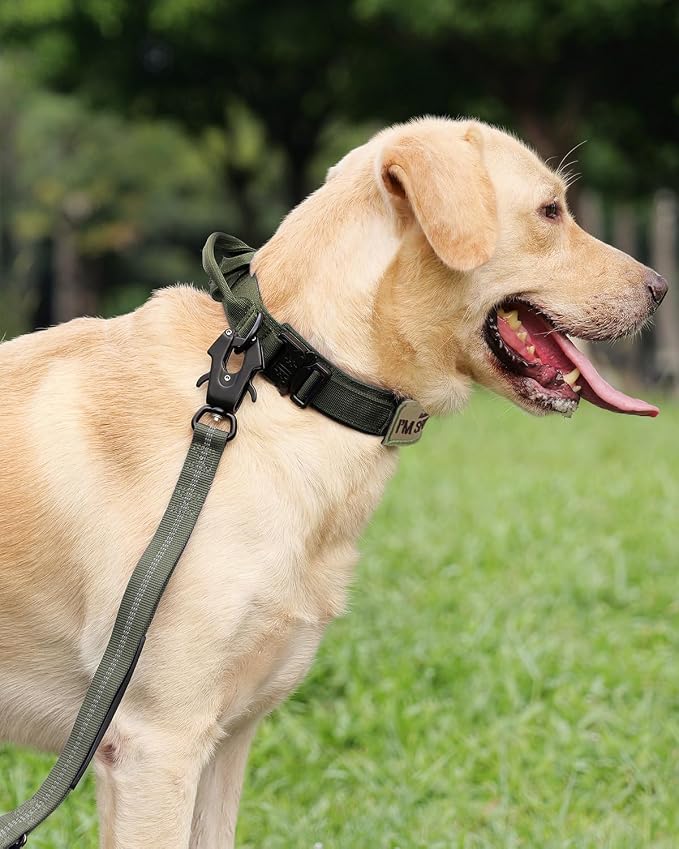 Joytale Tactical Dog Collar and Leash Set, Adjustable Strong Collar with Handle and Shock Absorbing Bungee Leash for Medium Dogs (ArmyGreen, M)