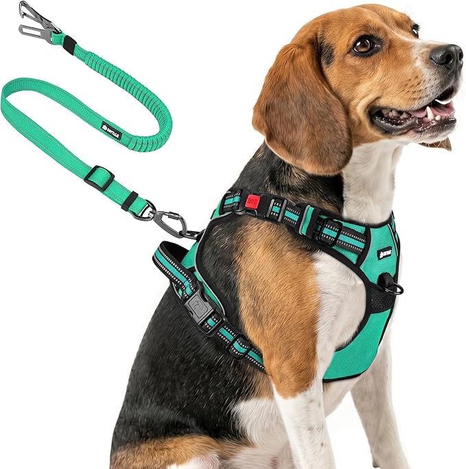 Joytale No Pull Dog Harness & Seat Belt, Easy On 3-Buckle, M, Teal | Front Clip Reduces Pulling, Escape-Resistant Design, Adjustable Fit, Soft Padding for Comfort, Secure Tether for Safer Travel