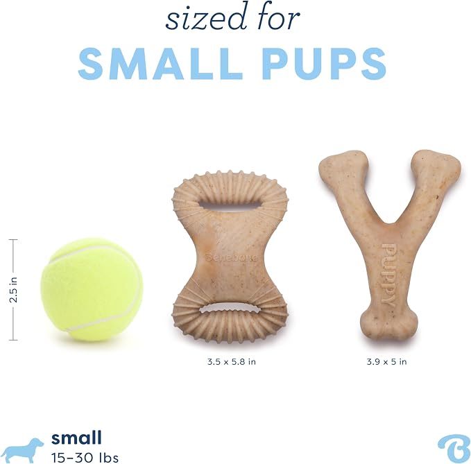Benebone Puppy 2-Pack Dental/Wishbone Dog Chew Toys, Real Chicken, Small | Durable, Made in USA, Dog Bones, Puppy Chew Toys, Puppy Teething Toys, Long-Lasting, Keeps Them Busy