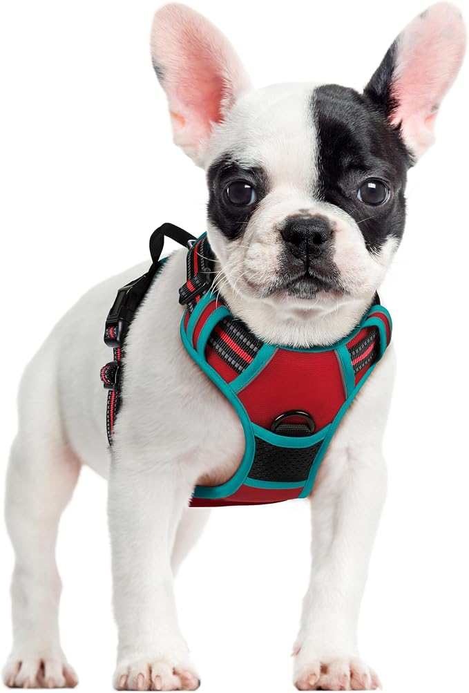 rabbitgoo Dog Harness, No Pull for Small Dogs with 2 Leash Clips, Pet Vest | No Choke with Handle, Adjustable Soft Padded, Reflective, Easy Control for Walking, Red & Teal, Small