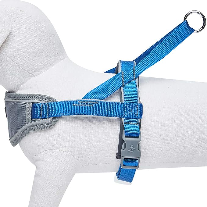 Blueberry Pet Dog Harness Medium Sized Dog - Reflective Dog Vest with 3M Strips, Neoprene Padded, Easy Control for Large Dogs, Small Dog Harness, Adjustable Navy Training Vest, 20.5-26" Girth
