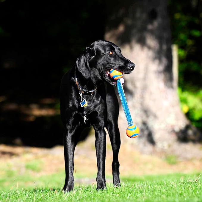 Chuckit! Ultra Duo Tug Toy, Small Indoor and Outdoor for Dogs 0-20 Pounds | Also Doubles as a Dog Ball
