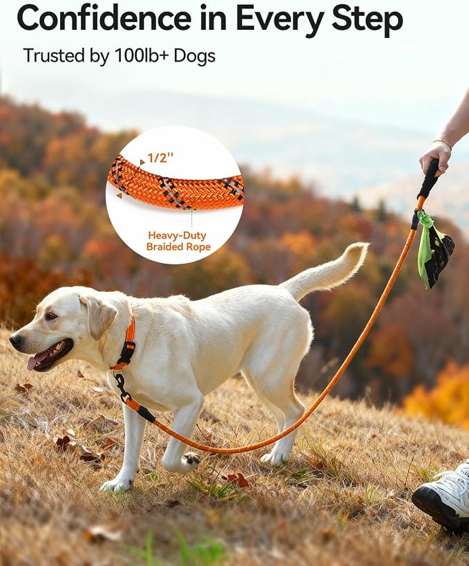 Joytale Rope Dog Leash for Medium Large Dogs, Padded Handle, 5FT, Orange | Reinforced Nylon Webbing, Comfort Grip Eases Hand Strain, Swivel Clip Prevents Tangles, Visible at Night, for Outdoor Walks