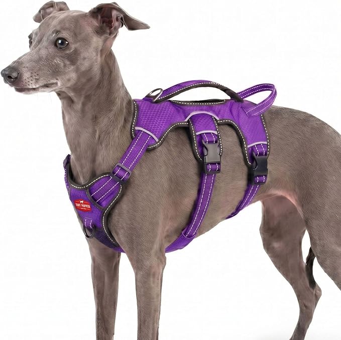 Tuff Pupper Escape Proof No Escape Dog Harness | 5 Point Adjustable Fit Harness for Dogs | Padded Dog Harnesses | Handle Dog Lift Harnesses